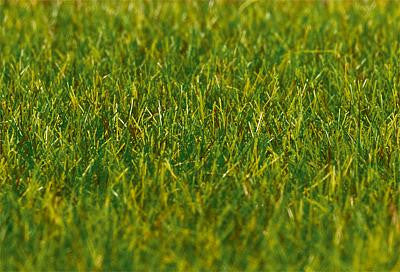 Dark Green Grass 6mm Premium Ground Cover Fibres (30g)