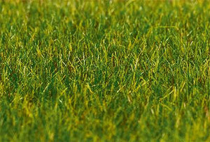 Dark Green Grass 6mm Premium Ground Cover Fibres (30g)