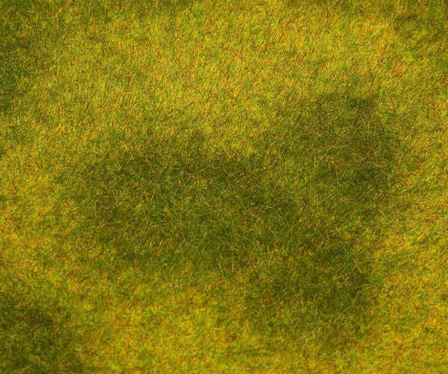 Light Green Meadow Landscape Segment 210x148x6mm