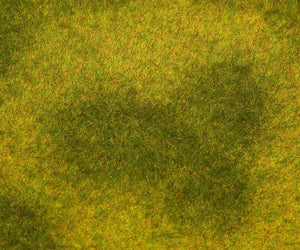 Light Green Meadow Landscape Segment 210x148x6mm