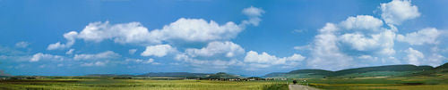 Black Forest/Baar Model Background 3880x650mm