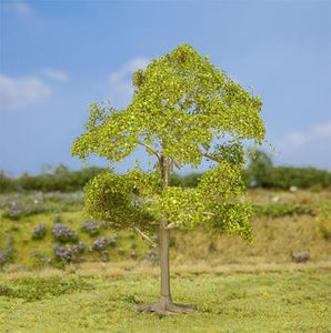 Ash 130mm Premium Tree