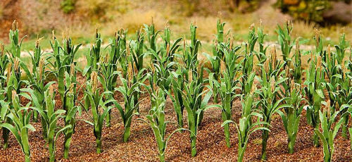 Maize Plants 25mm (36)