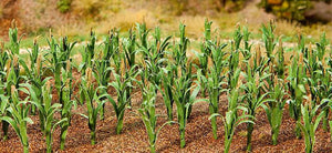Maize Plants 25mm (36)