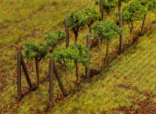 Vines 35mm (24)
