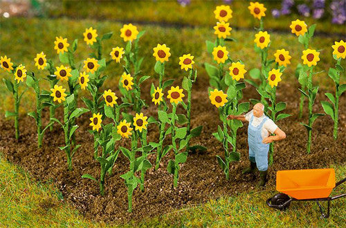 Sunflowers (16)
