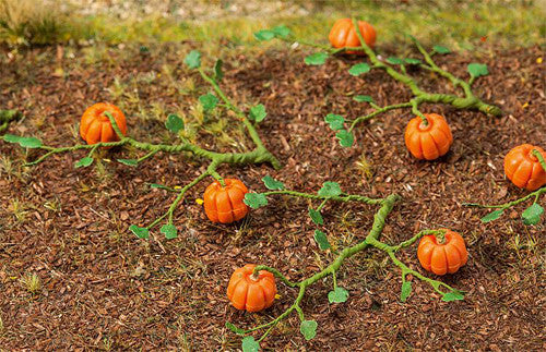 Pumpkins (6)