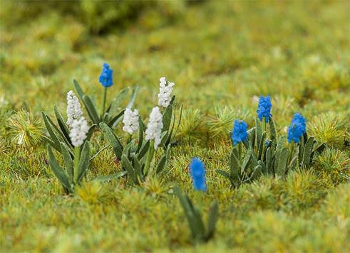 Hyacinths (32)