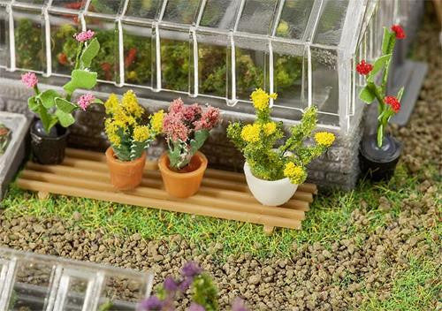 Pot Plants 13-20mm (6)