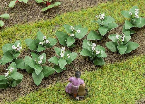 Tobacco Plants 19mm (14)