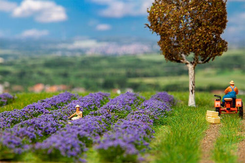 PRE ORDER - Lavender Field 175x125x11mm