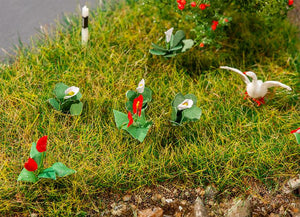 Lilies (18)
