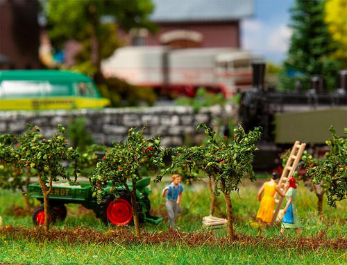 PRE ORDER - Apple Trees 45mm (10)