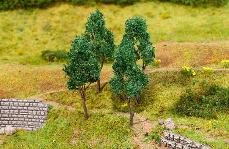 Beech Trees 60-70mm (4)