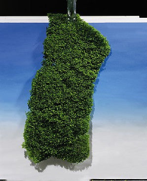 Dark Green Foliage Material 250x120mm