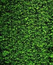 Mid Green Foliage Material 250x120mm