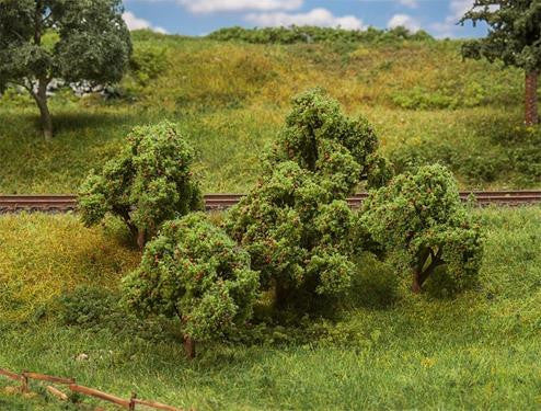 Apple Trees 55mm (5)