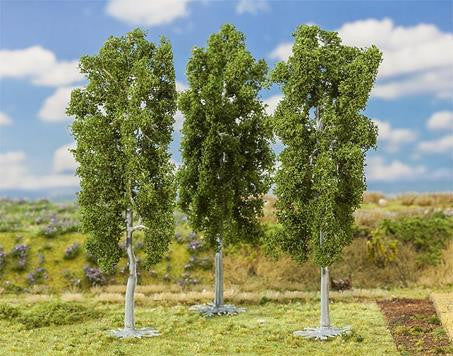 Beech Trees 150mm (3)