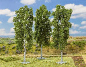 Beech Trees 150mm (3)