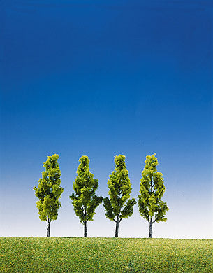 Birch Trees 90mm (4)