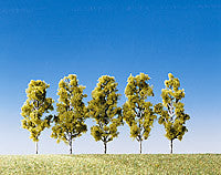 Birch Trees 55mm (5)
