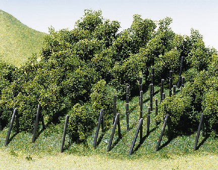 Vines 30mm (36)