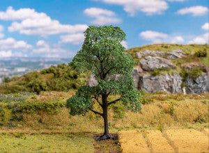 Ash Tree 145mm - Faller - 181700