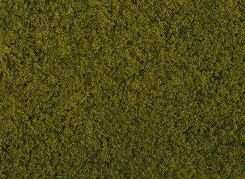 *Light Green Foliage 20 x 23cm