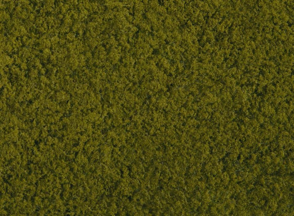 *Light Green Foliage 20 x 23cm