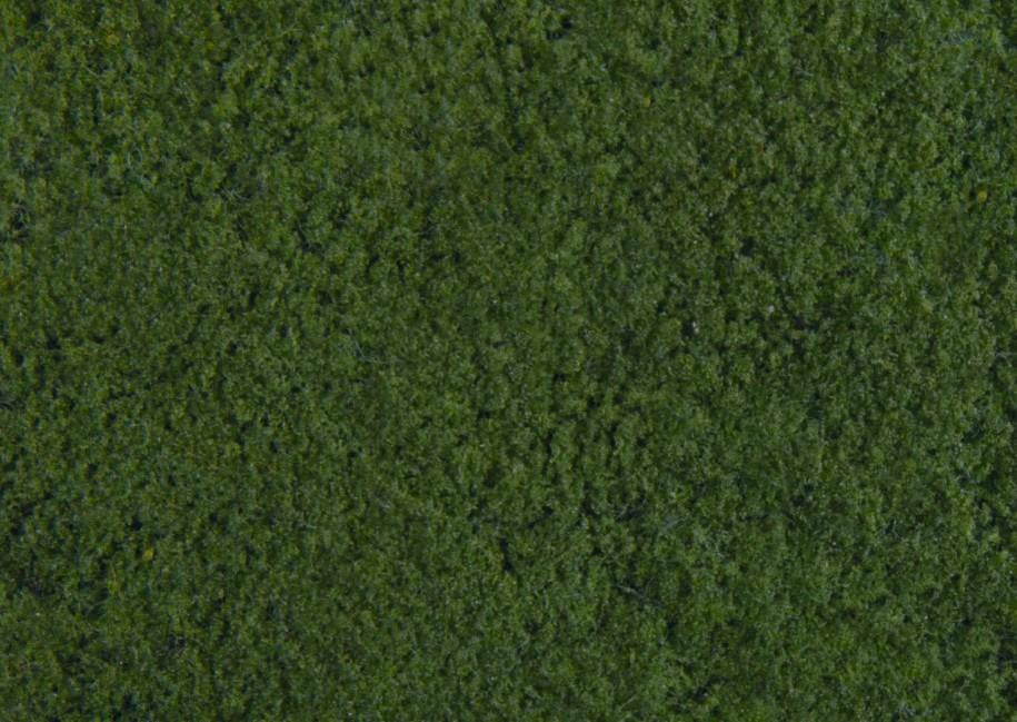 *Dark Green Foliage 20 x 23cm