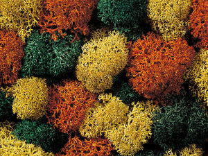 *Mixed Lichen 80g (GM166)