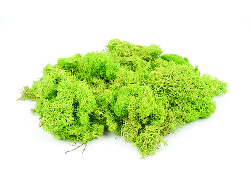 *Light Green Lichen 80g (GM164)