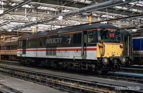 *Class 73 235 Intercity Swallow