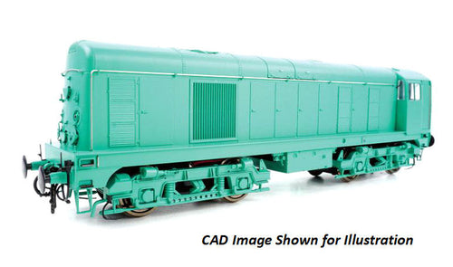 *Class 20 Unnumbered BR Tinsley Railtour Green Disc HCs