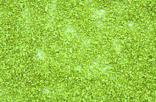 Light Green Leaves (100g)