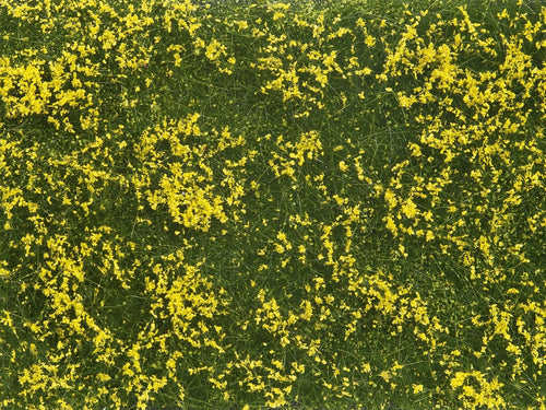 PRE ORDER - Yellow Meadow Groundcover Foliage 12x18cm