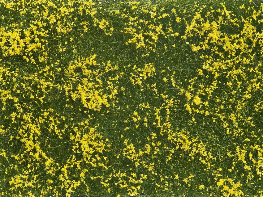PRE ORDER - Yellow Meadow Groundcover Foliage 12x18cm