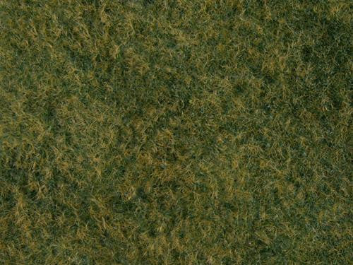 Light Green Wild Grass Foliage 20x23cm
