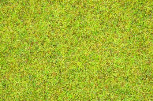 Summer Meadow Scatter Grass 2.5mm (120g)