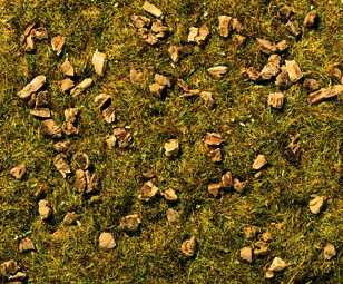 Alpine Meadow Scatter Grass 2.5mm (20g)