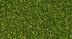 Light Green Scatter Material (42g)