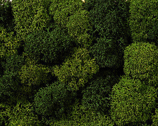 Green Mix Lichen (35g)