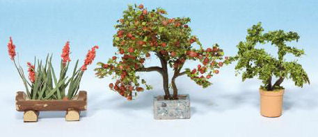 Ornamental Plants in Tubs (3)