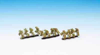 Plantation Apple (24) Profi Trees 2cm