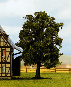 Beech Profi Tree 13cm