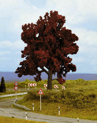 Copper Beech Profi Tree 14cm