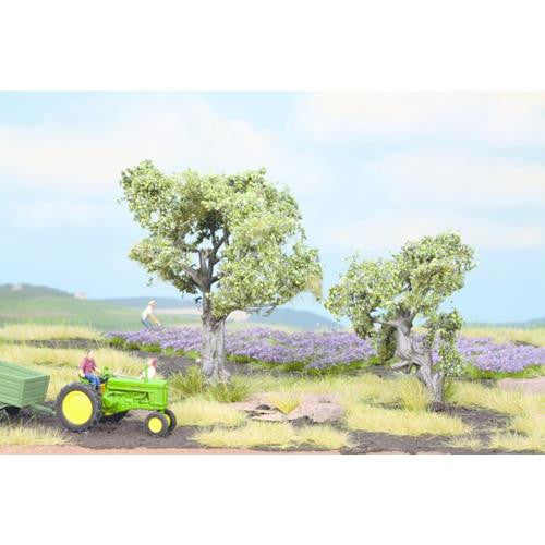 Olive (2) Profi Trees 6/9cm