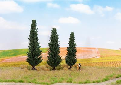 Cypress (3) Profi Trees 10/11/13cm