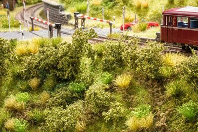 Seafoam Embankment Vegetation