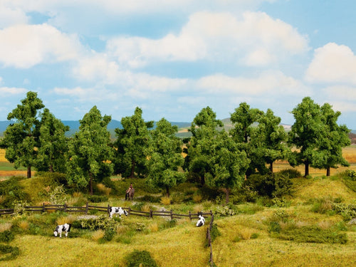 Deciduous Standard Trees 10-14cm (8)